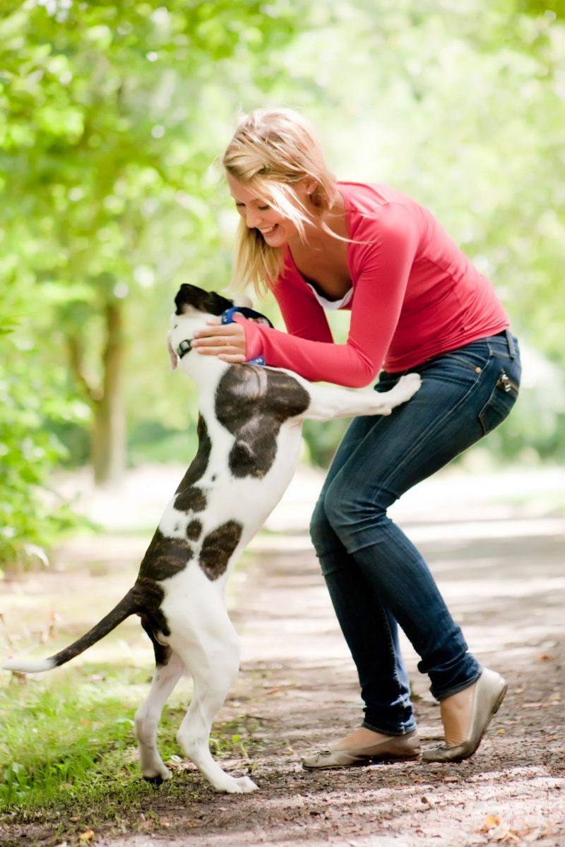 Dog Walking Keeps Your Pet Better Behaved and Healthier