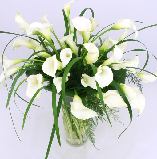 Popular Flowers for All Occasions