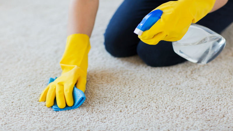 3 Ways Home Cleaning Services in Toronto Boost Your Mood