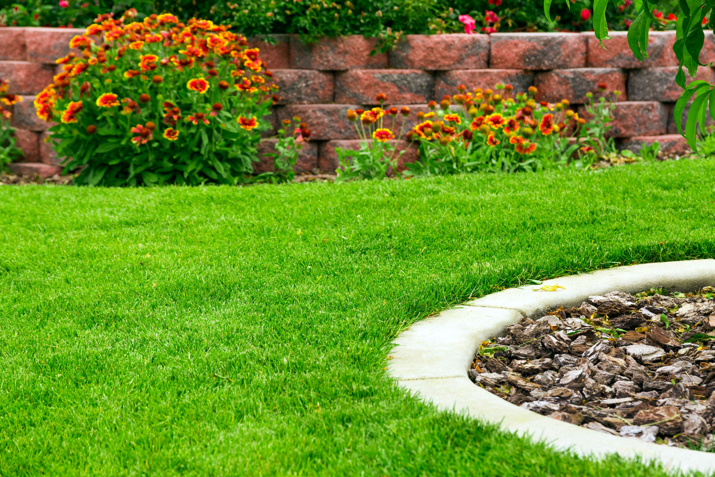 Transform Your Garden With Professional Lawn Sod Installation in Frisco, TX, For An Instant Lush Look