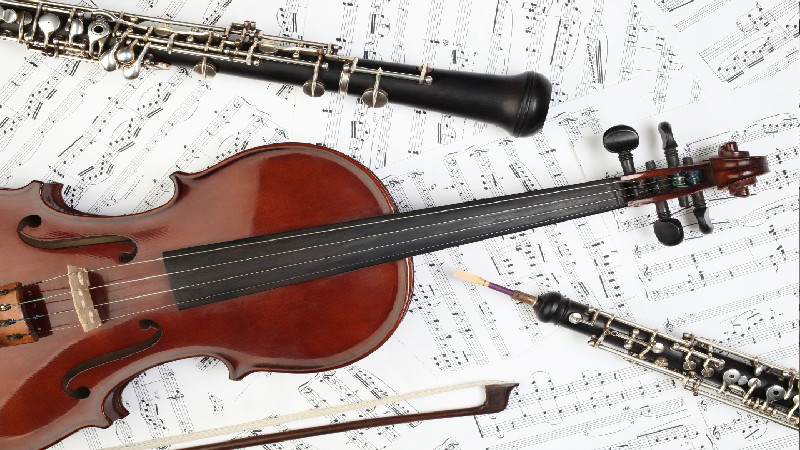 Tips for Maintenance and Repair of Cello Strings in Peachtree City, GA