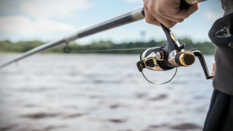 Five Essential Things You Need to Catch That Big Striped Bass