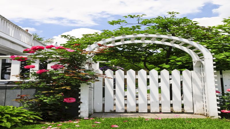 Elevate Your Calgary Home’s Aesthetics to a New Level with Vinyl Fencing