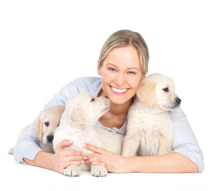 Aww, Good Boy; Hire the Pros for Puppy Obedience Training in Menifee, CA