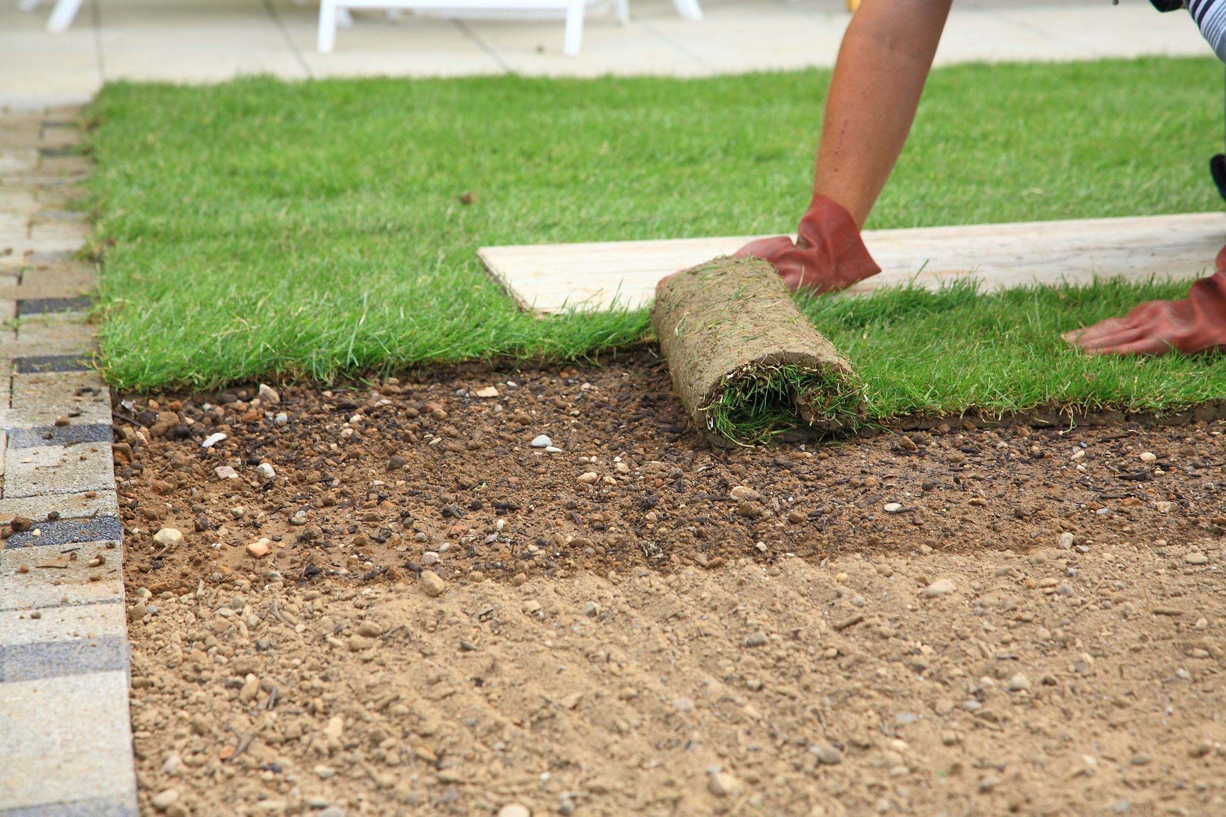 Enhancing Your Landscape: The Vital Role of Sod Replacement in Temecula, CA