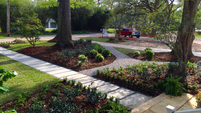 Reliable Weed Treatments for Lawns in Baton Rouge Mean a Weed-Free Yard for Many Years