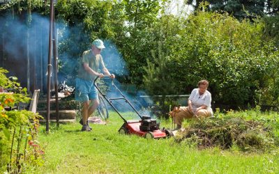 Regular Lawn Mower Belts vs. High-Quality Lawn Mower Belts