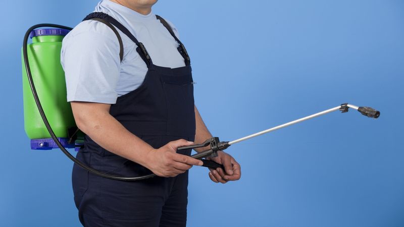 Getting Mosquito Control in Naples, FL