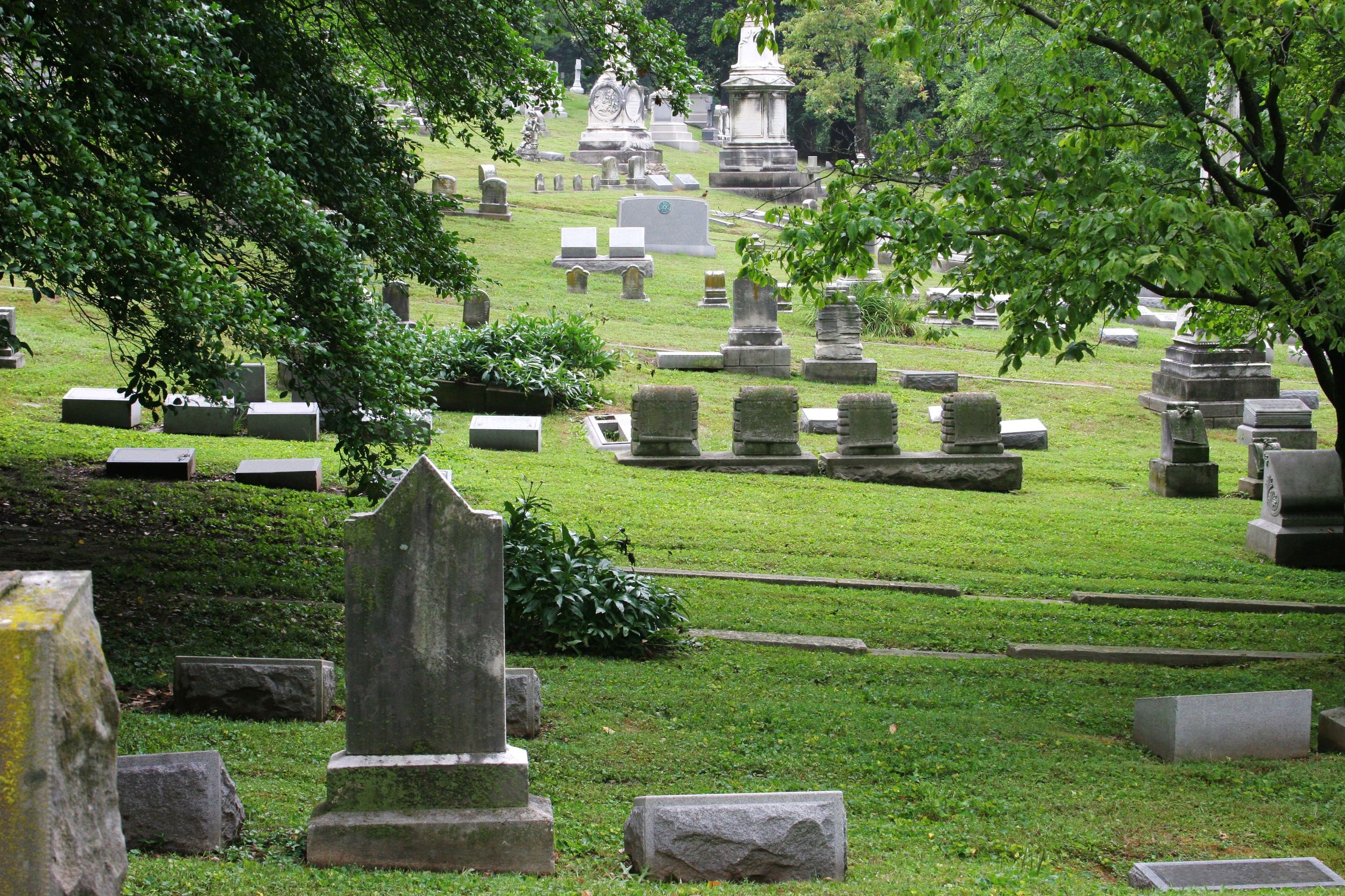 What Is Involved in Cremation Services?
