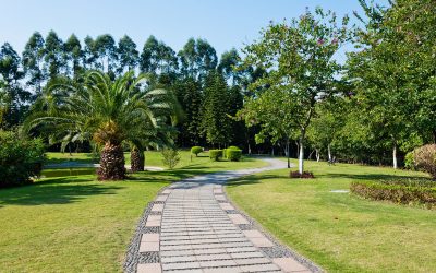 You’ll Find an Impressive Selection of Trees, Shrubs, and Perennials at a Garden Centre in Calgary.