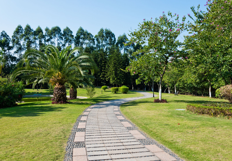 You’ll Find an Impressive Selection of Trees, Shrubs, and Perennials at a Garden Centre in Calgary.