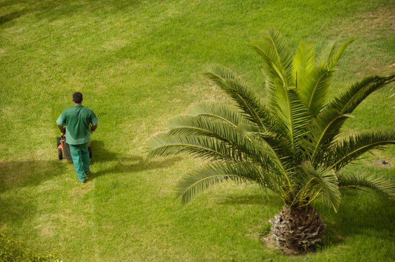 Top-Notch Lawn Care Services in Mustang, OK