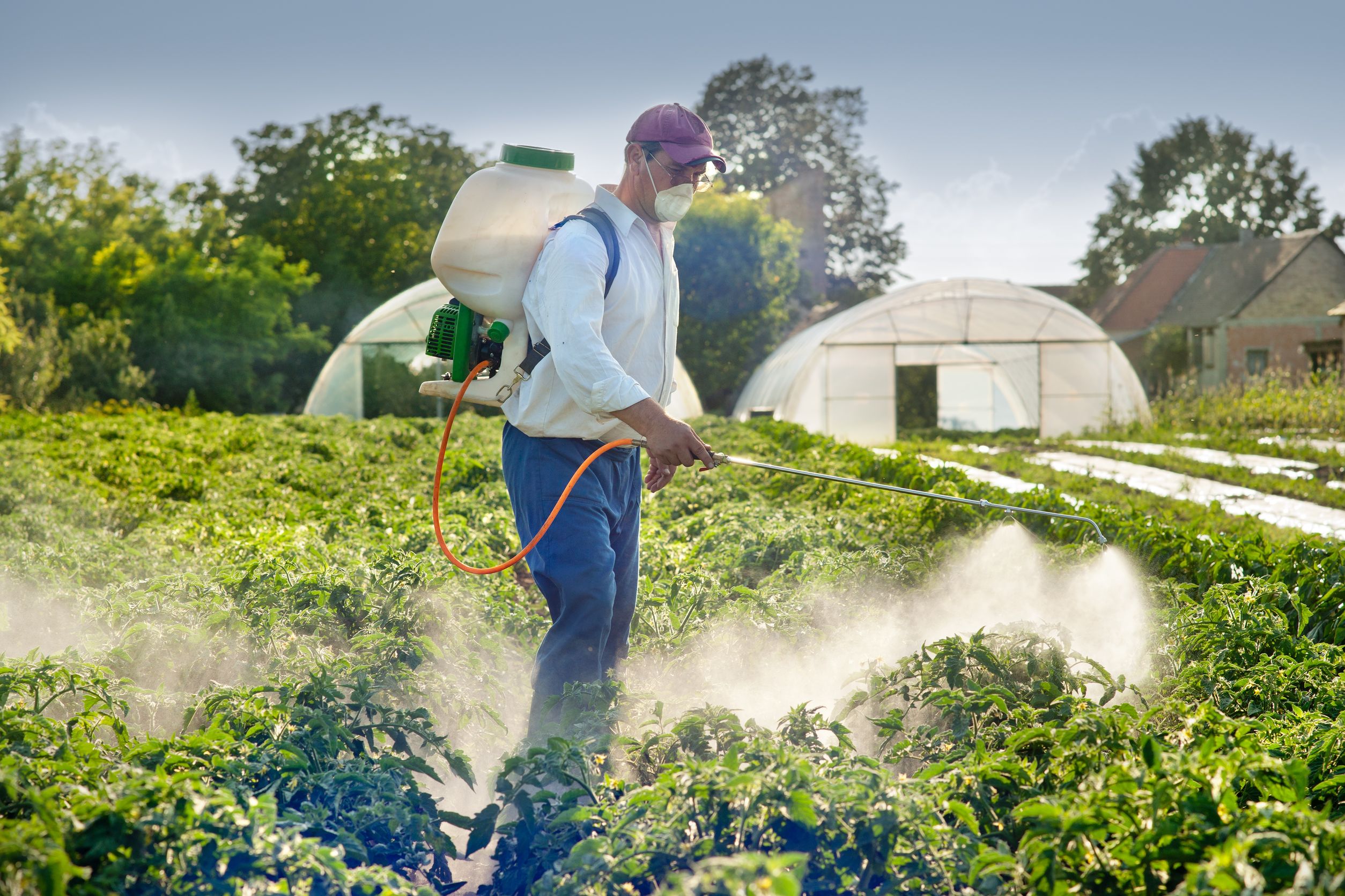 Enhancing Herbicide Effectiveness with Surfactants