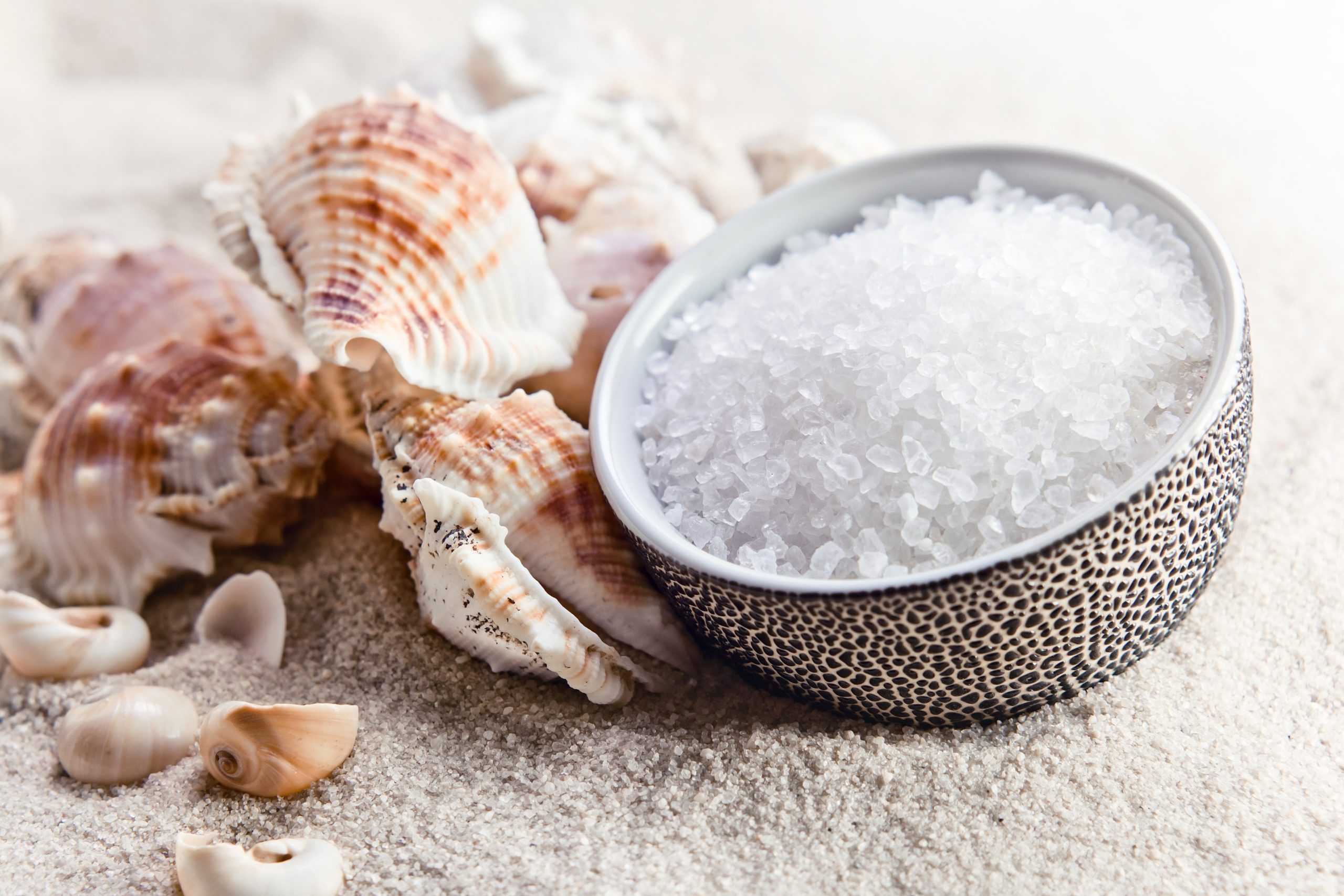 Why Natural Salt is a Must-Have for Health-Conscious Consumers?