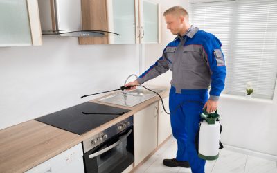 How Pest Control Services Bonita Springs, FL, Eliminate Common Household Pests