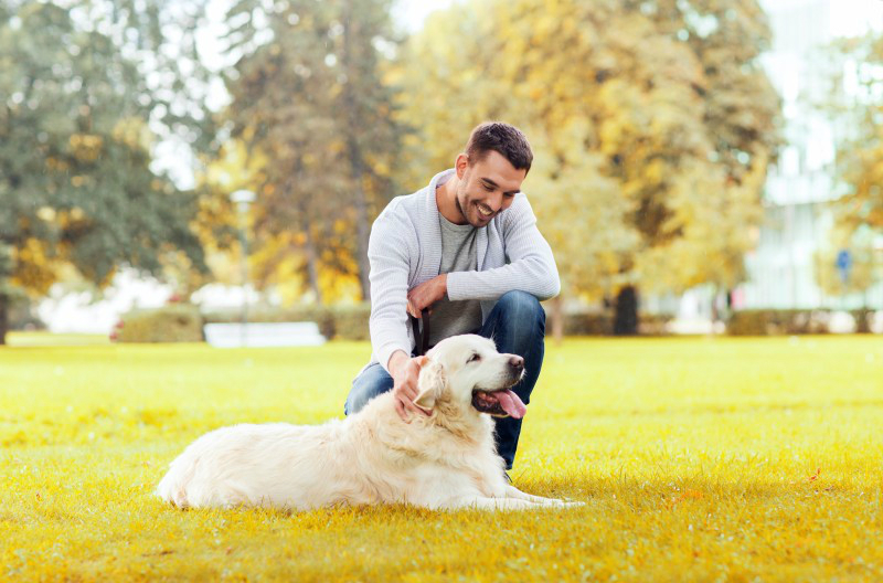 Your Pet Thrives At Dog Daycare In UES With Loving Care And Engaging Playtime Activities