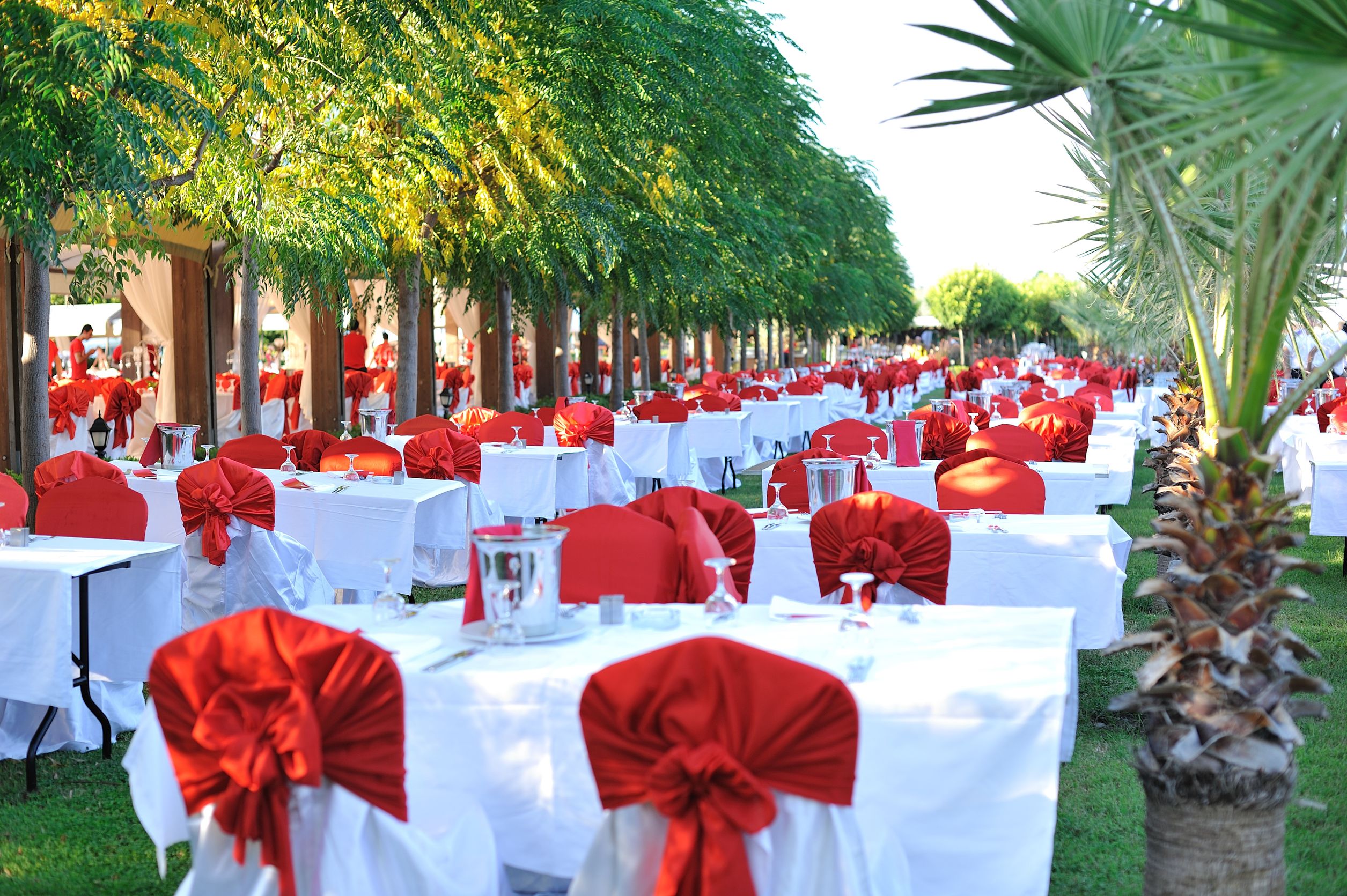 Make Planning Easy with Party Rental Packages Miami FL Residents Love for Any Occasion