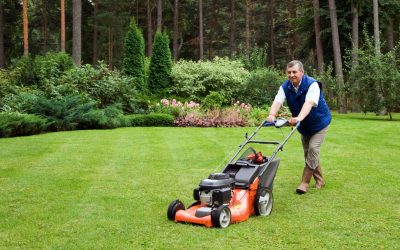 Professional Lawn Care Service Serving Whitley County, Indiana