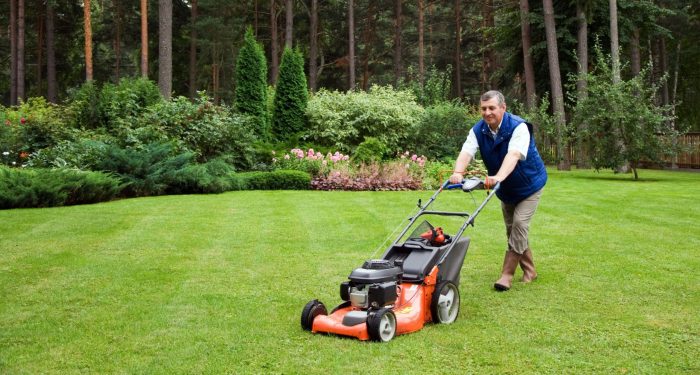 Professional Lawn Care Service Serving Whitley County, Indiana