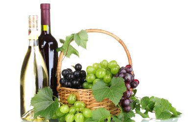 Enhance Your Weekend Plans with Wine Tasting Tours in San Diego CA Featuring Artisan Wines