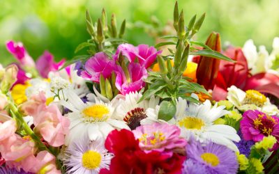 Reasons to Choose a Flower Delivery Service in Vero Beach for Your Next Special Occasion