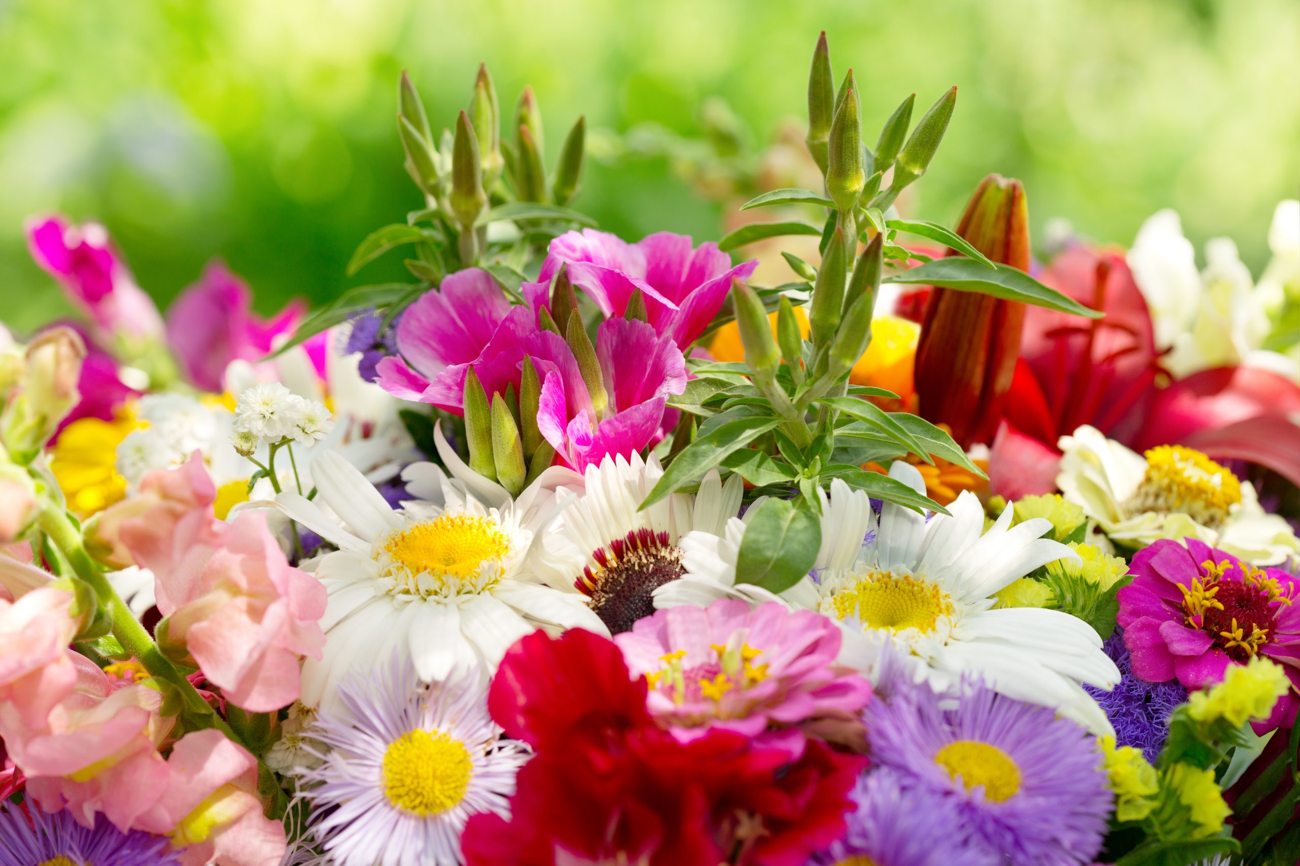Reasons to Choose a Flower Delivery Service in Vero Beach for Your Next Special Occasion
