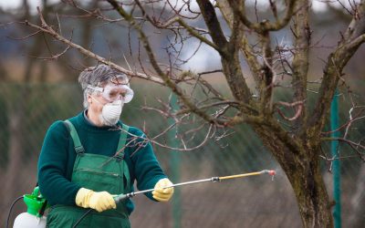 The Key Role of Surfactant For Herbicides in Maximizing Crop Yields Safely