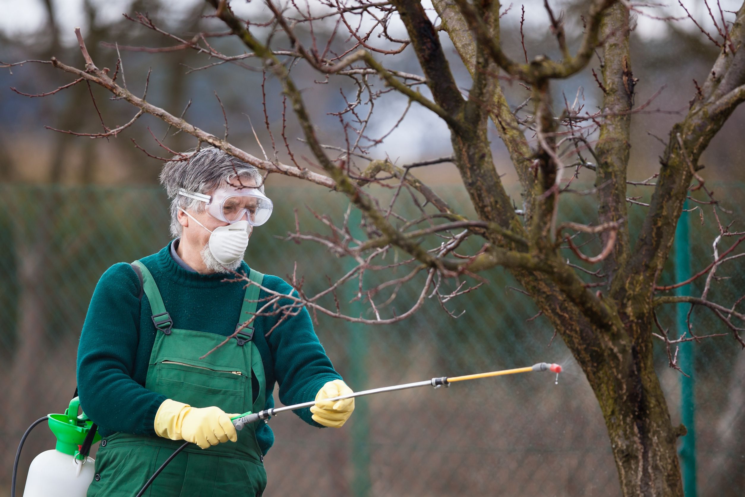 The Key Role of Surfactant For Herbicides in Maximizing Crop Yields Safely