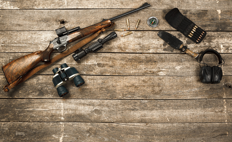 Achieve Better Shots with Proper Sight In Hunting Rifle Price UT Guidance