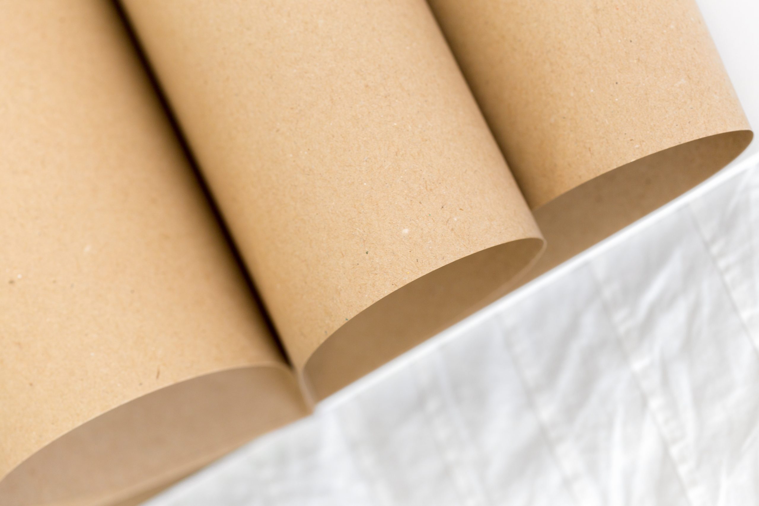 Creative Uses for Cardboard Packaging Tubes in American Small Business Branding