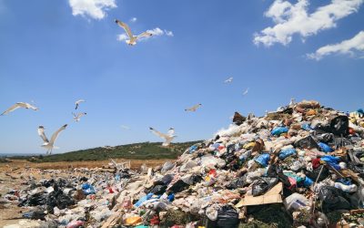 Why Responsible Construction Debris Disposal in Kawartha Lakes Matters for Your Project
