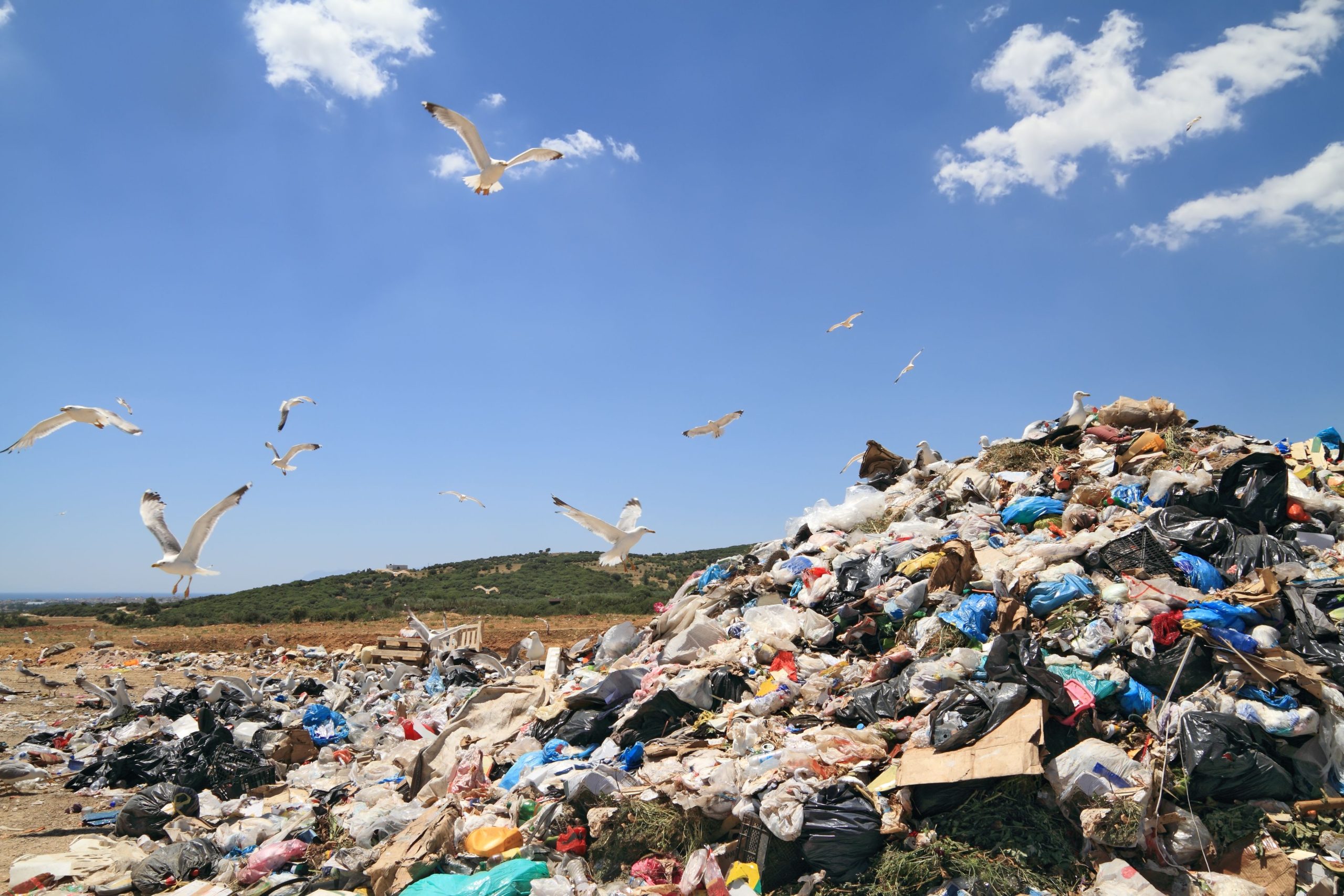 Why Responsible Construction Debris Disposal in Kawartha Lakes Matters for Your Project