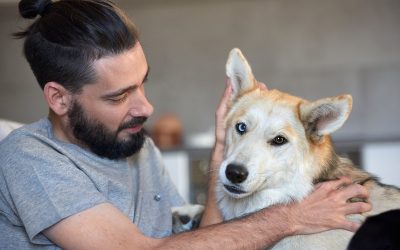 Make Bath Time a Breeze with Professional Dog Grooming Madison, AL Services