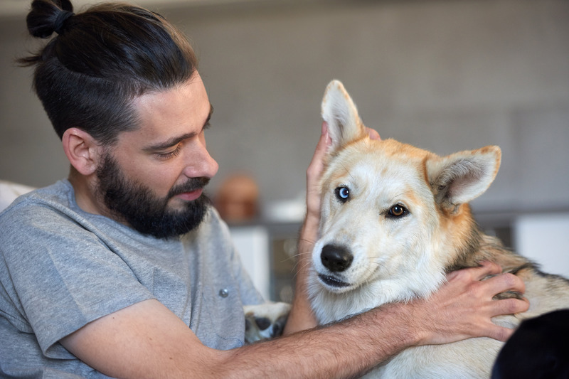 Make Bath Time a Breeze with Professional Dog Grooming Madison, AL Services