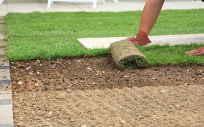 Get Quality Turf Solutions for Homes and Businesses With Sod Company Riverside, CA Expertise