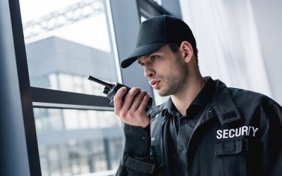 Reliable Security Solutions from Protective Services in Helena, MT for Homeowners