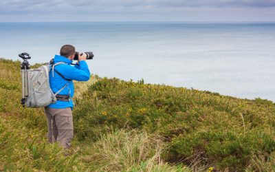 Capturing Genuine Family Moments With Professional Photography