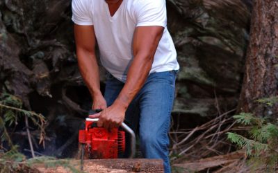 The Hidden Dangers Addressed by a Local Tree Removal Service in Rockford, IL, Near You