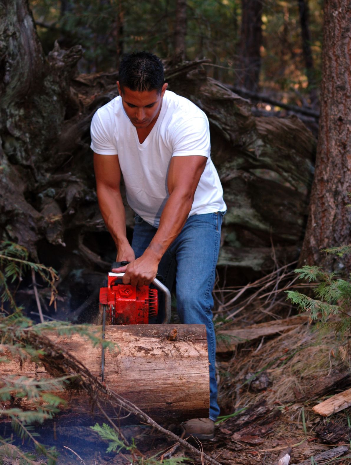 The Hidden Dangers Addressed by a Local Tree Removal Service in Rockford, IL, Near You