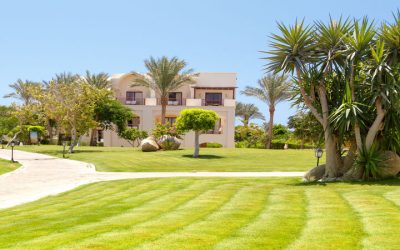 Signs Your Lawn Needs Sod Replacement and What Temecula Homeowners Should Know