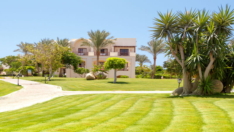 Signs Your Lawn Needs Sod Replacement and What Temecula Homeowners Should Know