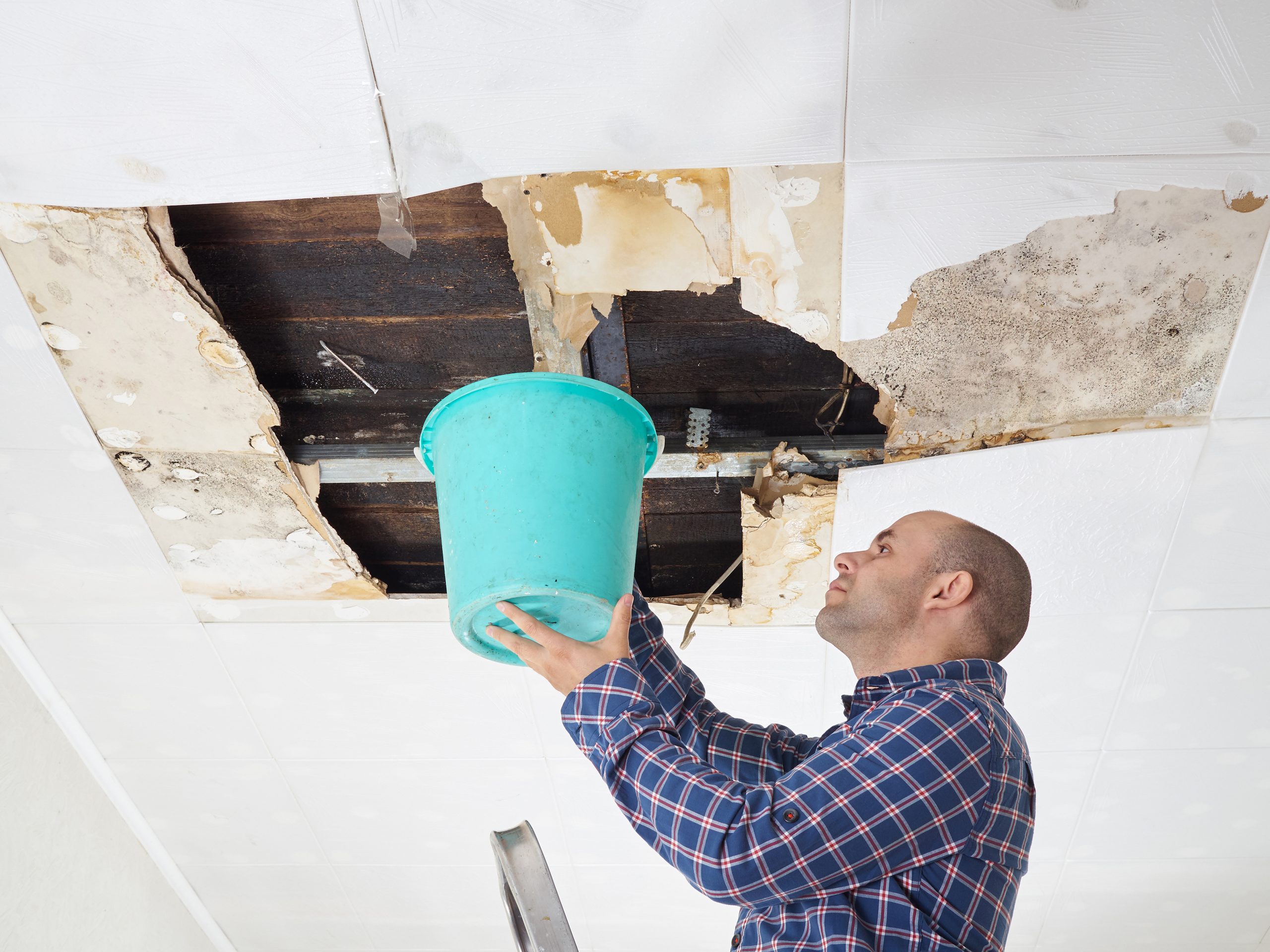 What Happens When Water Reaches the Shims Beneath Kitchen Cabinets?